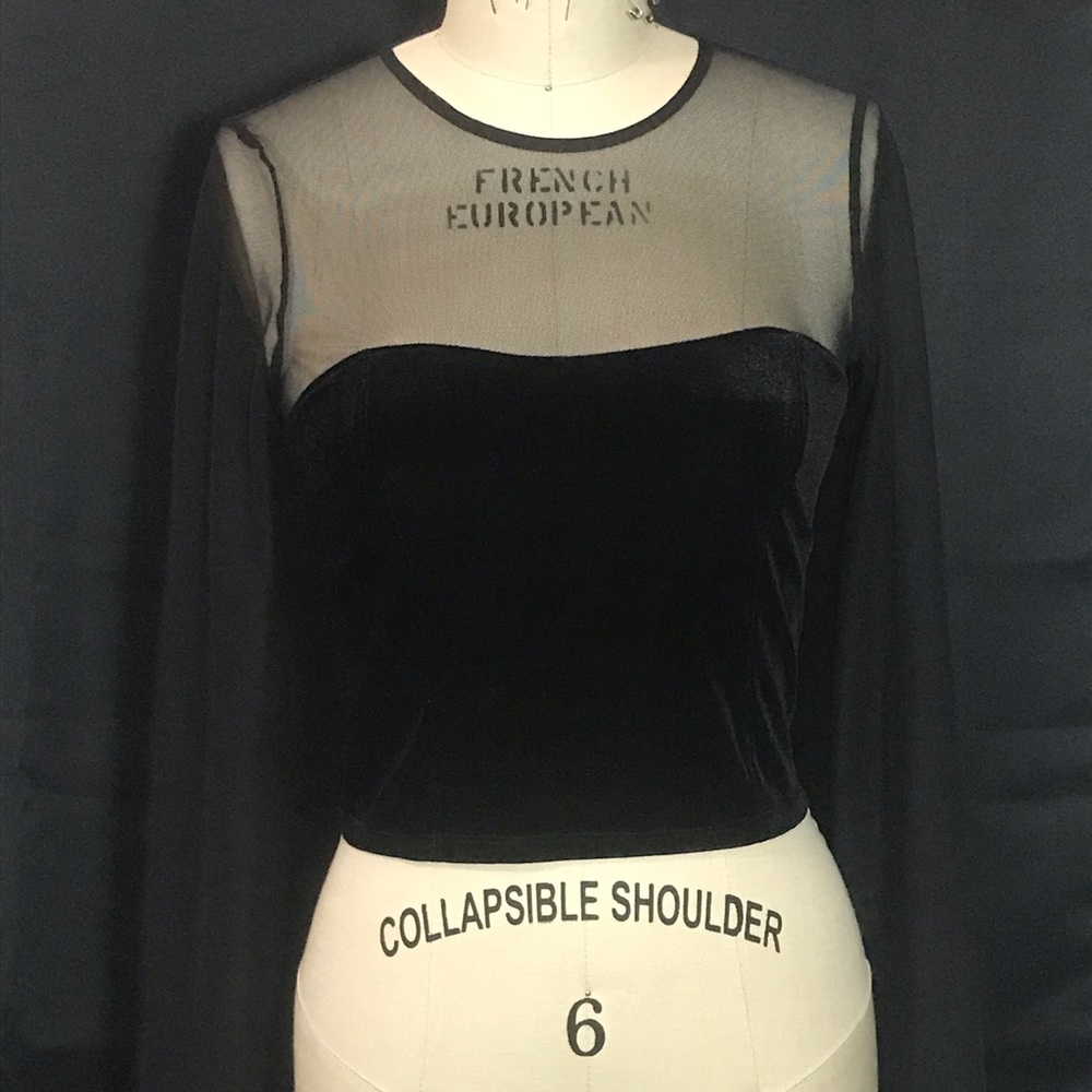[SOLD] Long sleeve velvet and sheer crop top